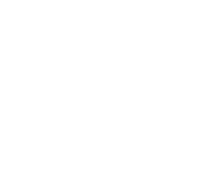 DigitMind